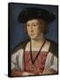 Portrait of Floris Van Egmond, Count of Buren En Leerdam-Jan Gossaert-Framed Stretched Canvas