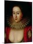 Portrait of Frances Howard (1590-1632) Countess of Somerset, circa 1615-William Larkin-Mounted Giclee Print