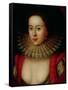 Portrait of Frances Howard (1590-1632) Countess of Somerset, circa 1615-William Larkin-Framed Stretched Canvas