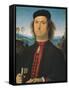 Portrait of Francesco delle Opere-Pietro Perugino-Framed Stretched Canvas