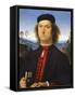 Portrait of Francesco Delle Opere-Perugino-Framed Stretched Canvas