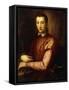 Portrait of Francesco I D'Medici-Alessandro Allori-Framed Stretched Canvas