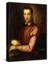 Portrait of Francesco I D'Medici-Alessandro Allori-Stretched Canvas