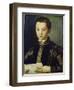 Portrait of Francesco I De'Medici-Agnolo Bronzino-Framed Giclee Print