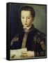 Portrait of Francesco I De'Medici-Agnolo Bronzino-Framed Stretched Canvas