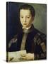 Portrait of Francesco I De'Medici-Agnolo Bronzino-Stretched Canvas