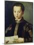 Portrait of Francesco I De'Medici-Agnolo Bronzino-Mounted Giclee Print