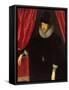 Portrait of Francis Bacon (1561-1626) 1st Baron of Verulam and Viscount of St. Albans-William Larkin-Framed Stretched Canvas