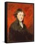 Portrait of Francis Hargrave-Sir Joshua Reynolds-Framed Stretched Canvas