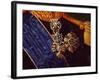 Portrait of Francis I of Bourbon, Detail-Giuseppe Cammarano-Framed Giclee Print