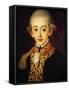 Portrait of Francis I of the Two Sicilies-Francesco Coghetti-Framed Stretched Canvas