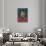 Portrait of Francisco De Paula Santander-null-Stretched Canvas displayed on a wall