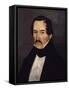 Portrait of Francisco De Paula Santander-null-Framed Stretched Canvas