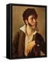 Portrait of Francois-Barnabe Campmas-Baron Pierre-Narcisse Guerin-Framed Stretched Canvas