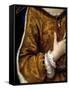 Portrait of Francoise D'aubigne, Marquise De Maintenon (1635 - 1719), Mistress of Louis Xiv. Dress-Pierre Mignard-Framed Stretched Canvas