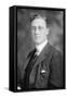 Portrait of Franklin Delano Roosevelt-null-Framed Stretched Canvas