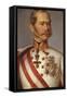 Portrait of Franz Joseph I of Austria, Ca 1855-null-Framed Stretched Canvas