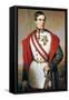 Portrait of Franz Joseph I of Austria-null-Framed Stretched Canvas