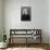 Portrait of Franz Liszt, Hungarian Composer and Pianist-null-Photographic Print displayed on a wall