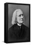 Portrait of Franz Liszt, Hungarian Composer and Pianist-null-Framed Stretched Canvas