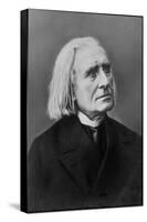 Portrait of Franz Liszt, Hungarian Composer and Pianist-null-Stretched Canvas