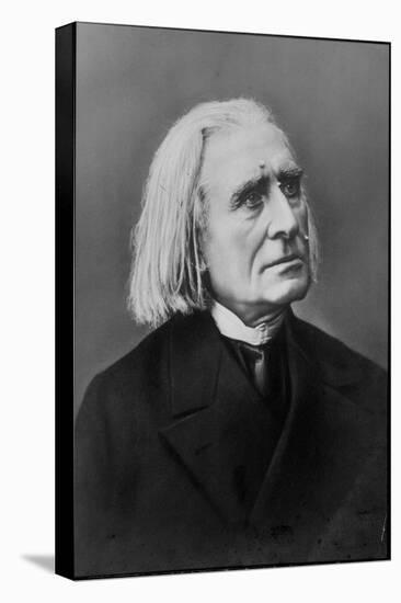 Portrait of Franz Liszt, Hungarian Composer and Pianist-null-Stretched Canvas