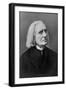 Portrait of Franz Liszt, Hungarian Composer and Pianist-null-Framed Photographic Print