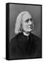 Portrait of Franz Liszt, Hungarian Composer and Pianist-null-Framed Stretched Canvas