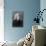 Portrait of Franz Liszt, Hungarian Composer and Pianist-null-Photographic Print displayed on a wall