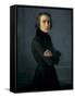 Portrait of Franz Liszt-Henri Lehmann-Framed Stretched Canvas