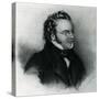 Portrait of Franz Schubert (1797-1828)-null-Stretched Canvas