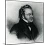 Portrait of Franz Schubert (1797-1828)-null-Mounted Giclee Print
