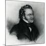 Portrait of Franz Schubert (1797-1828)-null-Mounted Giclee Print