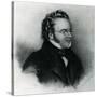 Portrait of Franz Schubert (1797-1828)-null-Stretched Canvas