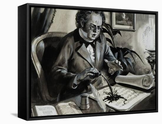 Portrait of Franz Schubert-Andrew Howat-Framed Stretched Canvas