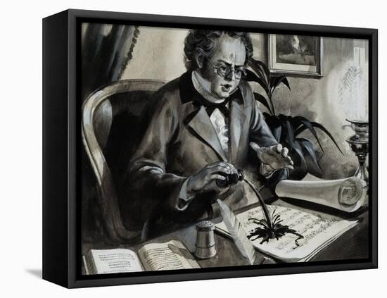 Portrait of Franz Schubert-Andrew Howat-Framed Stretched Canvas