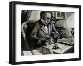 Portrait of Franz Schubert-Andrew Howat-Framed Giclee Print