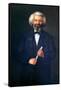 Portrait of Frederick Douglass-null-Framed Stretched Canvas