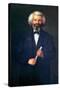 Portrait of Frederick Douglass-null-Stretched Canvas