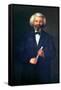 Portrait of Frederick Douglass-null-Framed Stretched Canvas