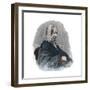 Portrait of Fredrika Bremer-Stefano Bianchetti-Framed Giclee Print