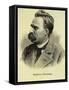 Portrait of Friedrich Nietzsche-Stefano Bianchetti-Framed Stretched Canvas
