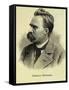 Portrait of Friedrich Nietzsche-Stefano Bianchetti-Framed Stretched Canvas