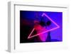 Portrait of Funny Party Cat in Clothes and Sunglasses with Neon Light-Daria Kulkova-Framed Photographic Print