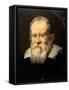 Portrait of Galileo Galilei-Francesco Boschi-Framed Stretched Canvas