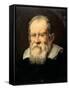 Portrait of Galileo Galilei-Francesco Boschi-Framed Stretched Canvas