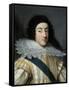 Portrait of Gaston of Orleans-null-Framed Stretched Canvas