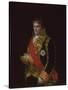 Portrait of General José Manuel Romero, C.1810-Francisco de Goya-Stretched Canvas