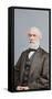 Portrait of General Robert E. Lee, Confederate States Army-Stocktrek Images-Framed Stretched Canvas