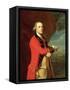 Portrait of General Thomas Gage, c.1768-John Singleton Copley-Framed Stretched Canvas